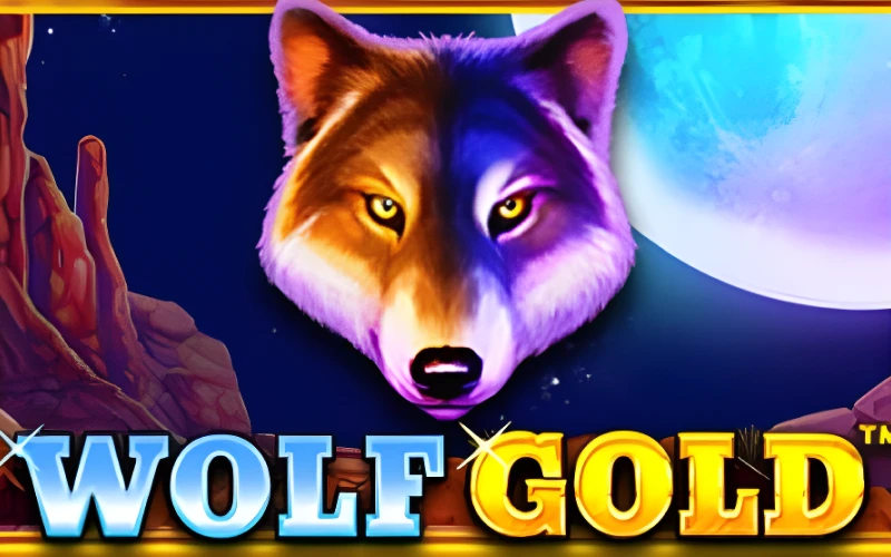Wowbet Slotlari sahifasida Wolf Gold slot o'yinini o'ynang va g'alaba qozoning.